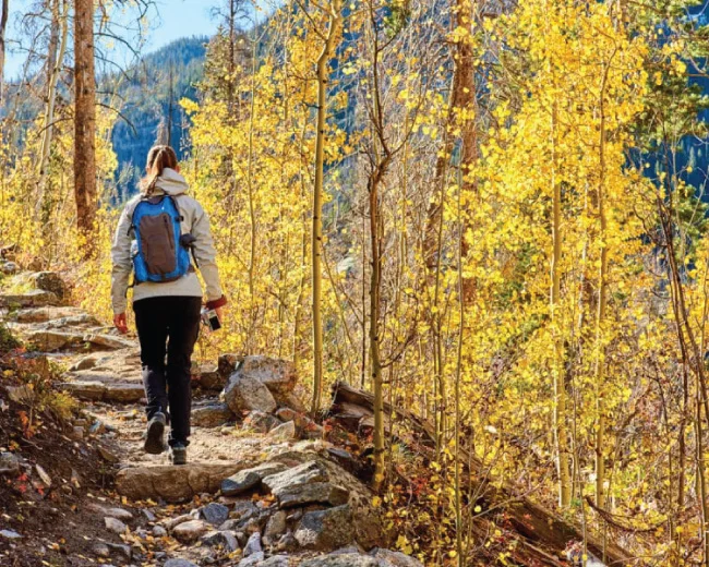 young adult female hiking in Aspen Grove in the fall